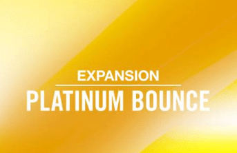 Native Instruments Platinum Bounce Maschine Expansion
